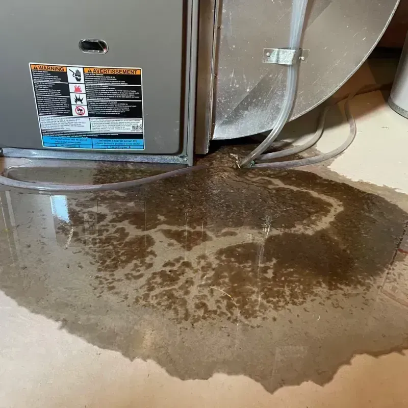 Appliance Leak Cleanup in Cahaba Heights, AL